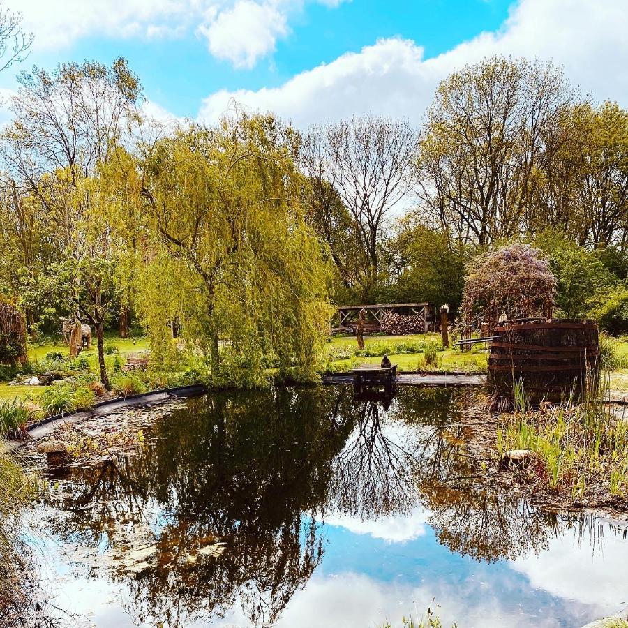 Reijgershof Bed and Breakfast Amsterdam Zewnętrze zdjęcie