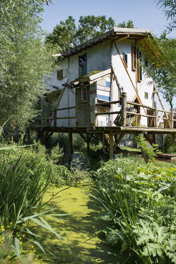 Reijgershof Bed and Breakfast Amsterdam Zewnętrze zdjęcie